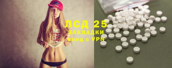 тгк Алзамай