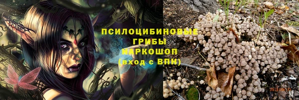тгк Алзамай