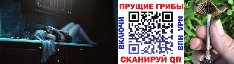 Галлюциногенные грибы Magic Shrooms  цены наркотик  Щёкино 
